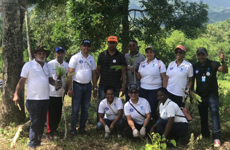 Colaboradores del Hospital Rodolfo siembran mil pinos en jornada de reforestación